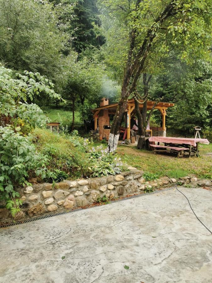 Soho Lodge Rasnov Экстерьер фото